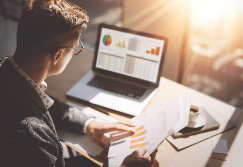 accountant reviewing financial statements on laptop screen