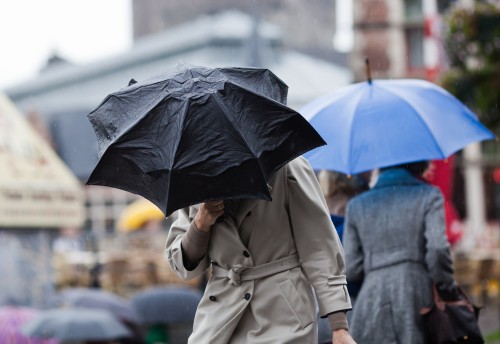 professional person huddling under their black umbrella in the rain